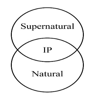 A diagram of different types of ip

Description automatically generated